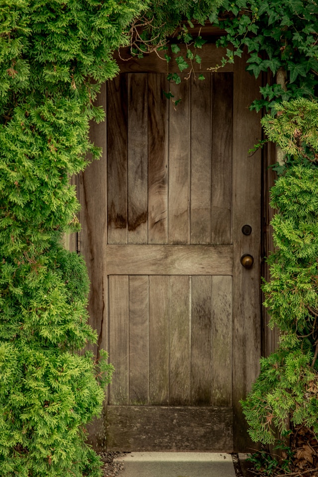 y-m-iTNVfCaAs0s-unsplash (1) garage doors